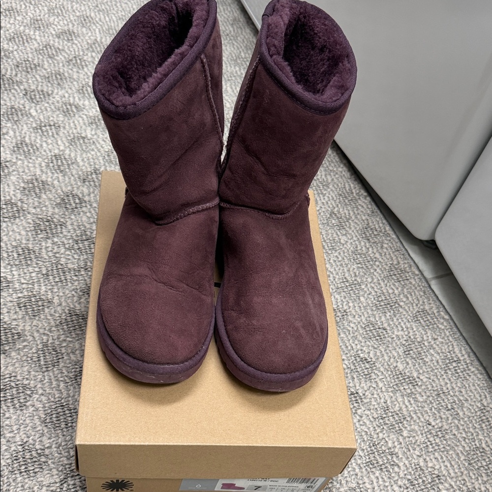 UGG Women's Dark Purple Winter Boots
